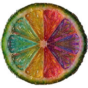 AISA logo