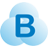Braina logo