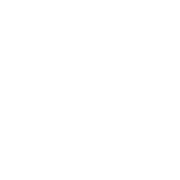Dumme logo