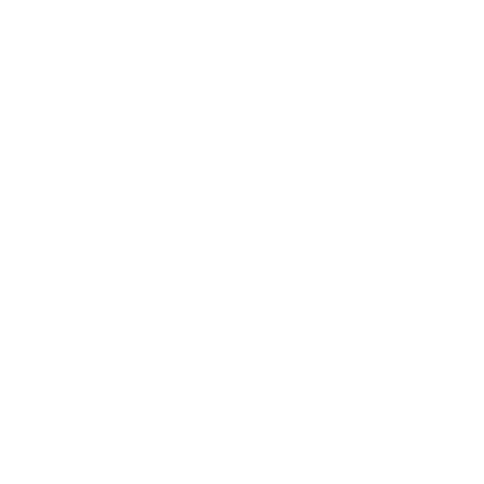 EVEAI .XYZ logo