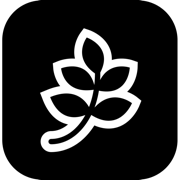 Fiction logo