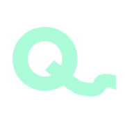 QFlow.ai logo