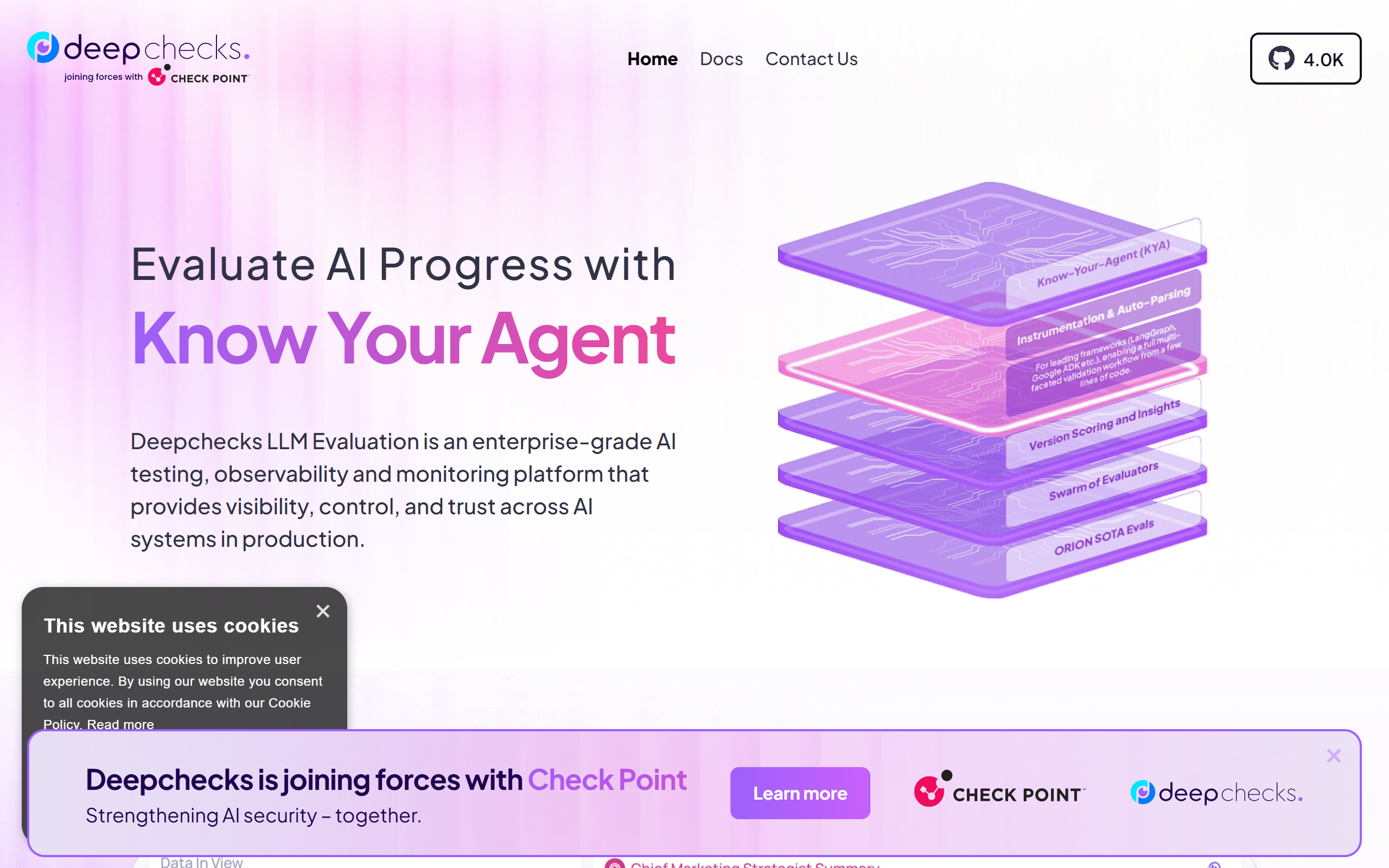 DeepChecks AI screenshot