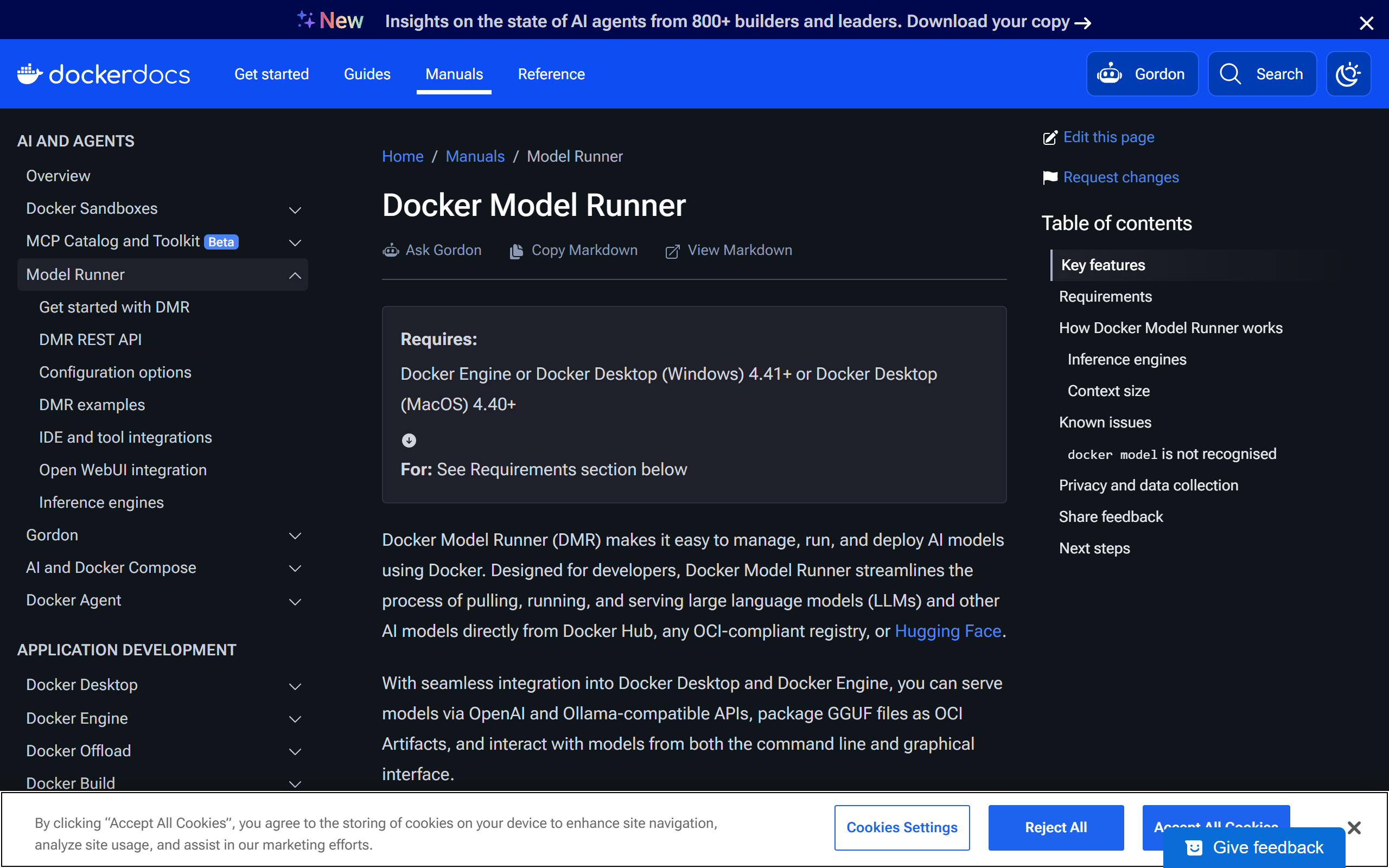 Docker Model Runner screenshot