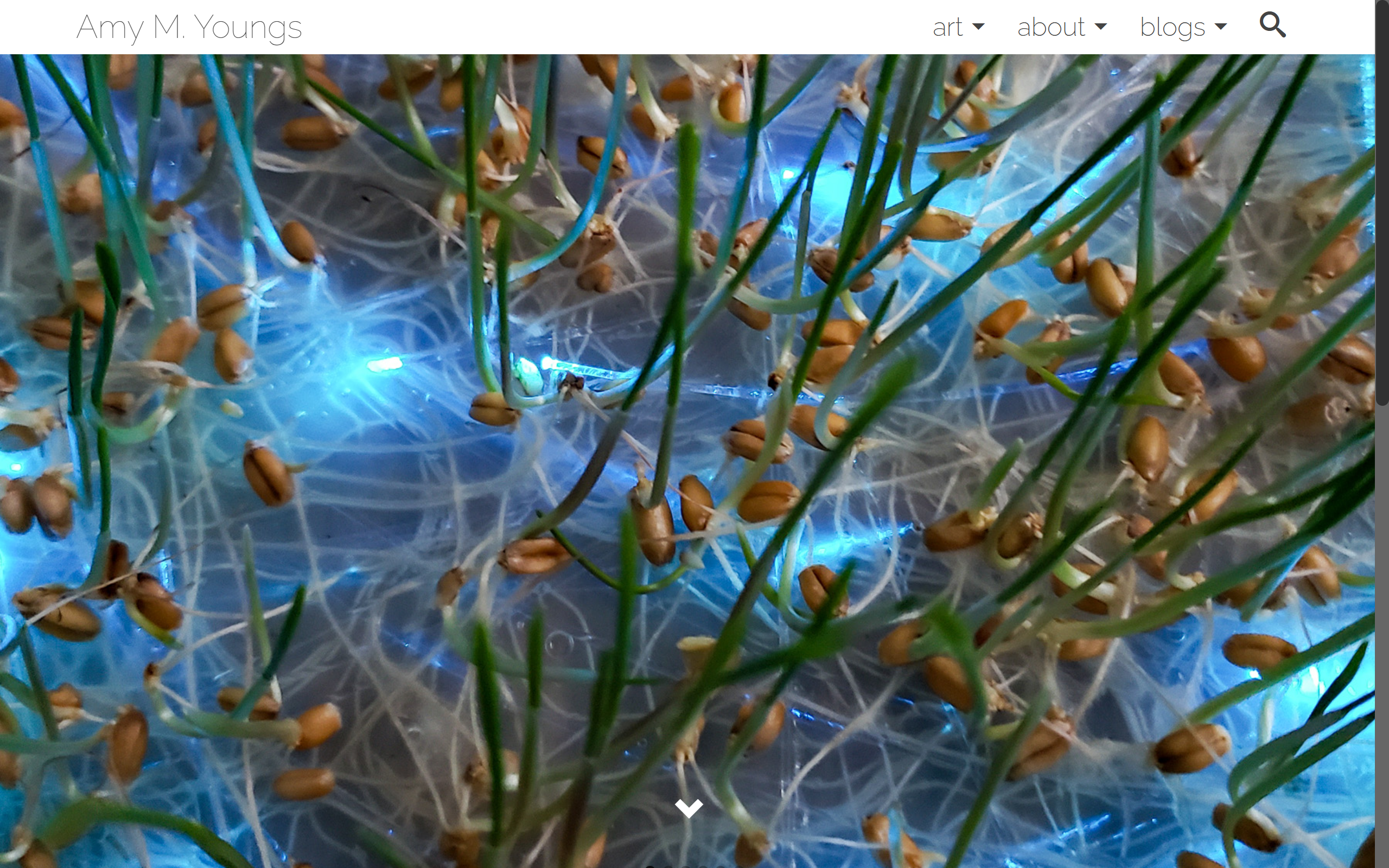 Hypernatural screenshot