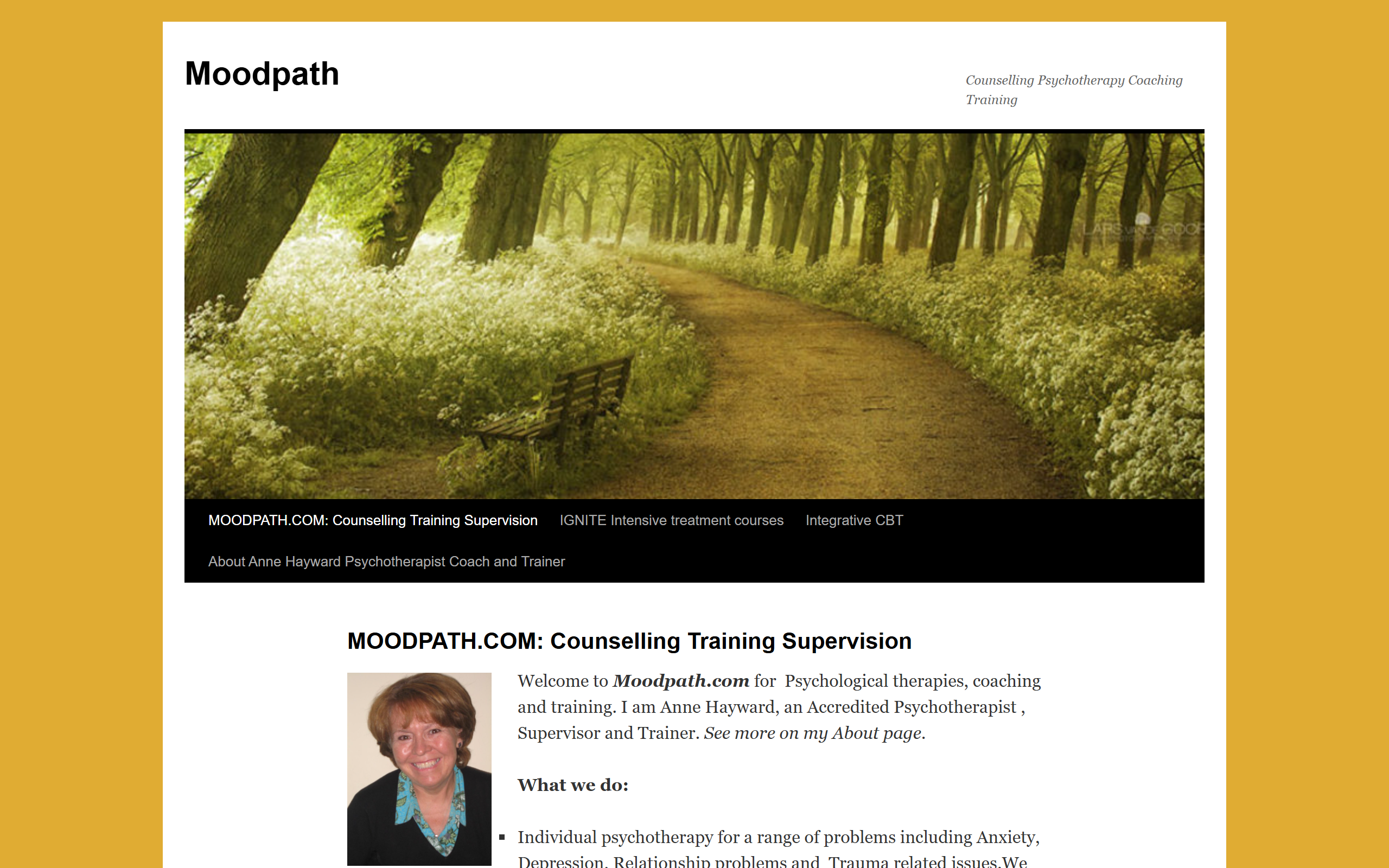 Moodpath screenshot