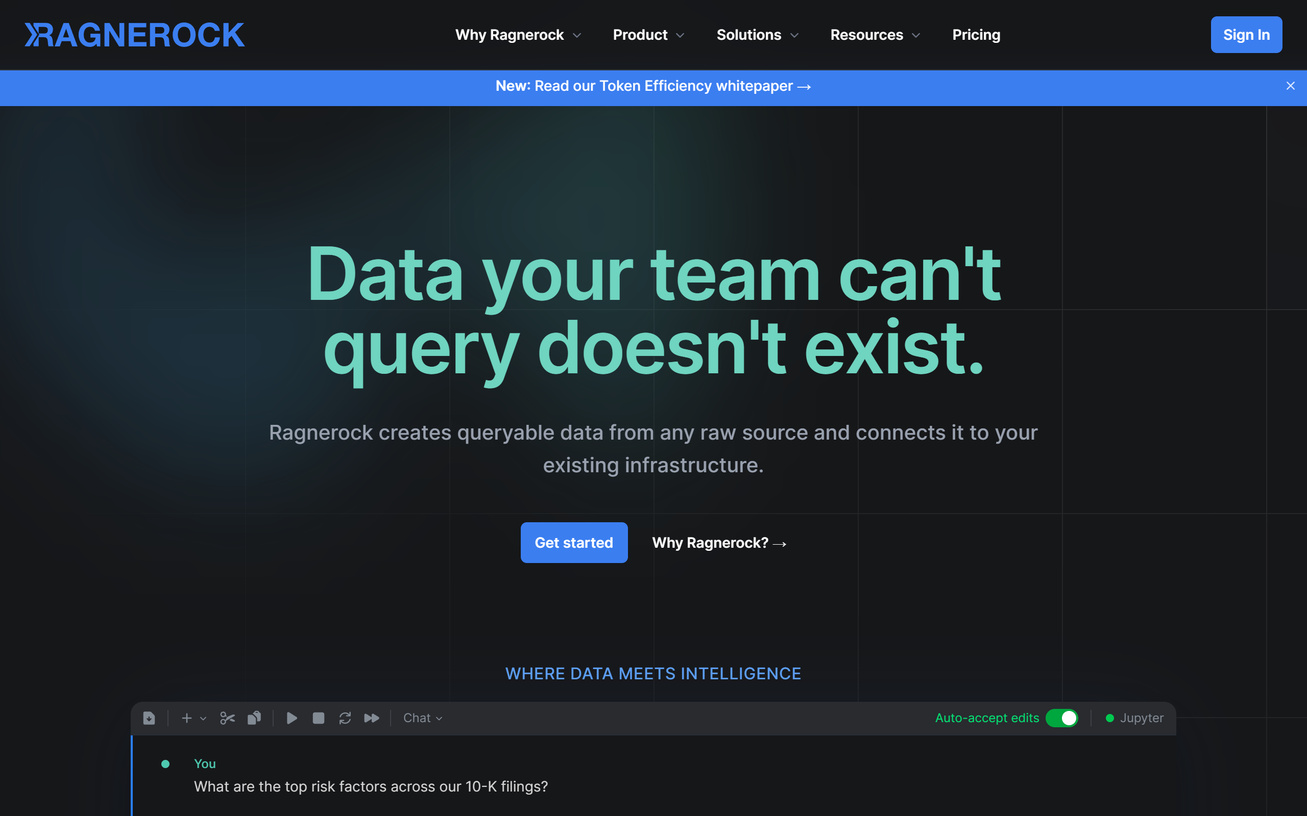 Ragnerock, an AI data analysis tool screenshot
