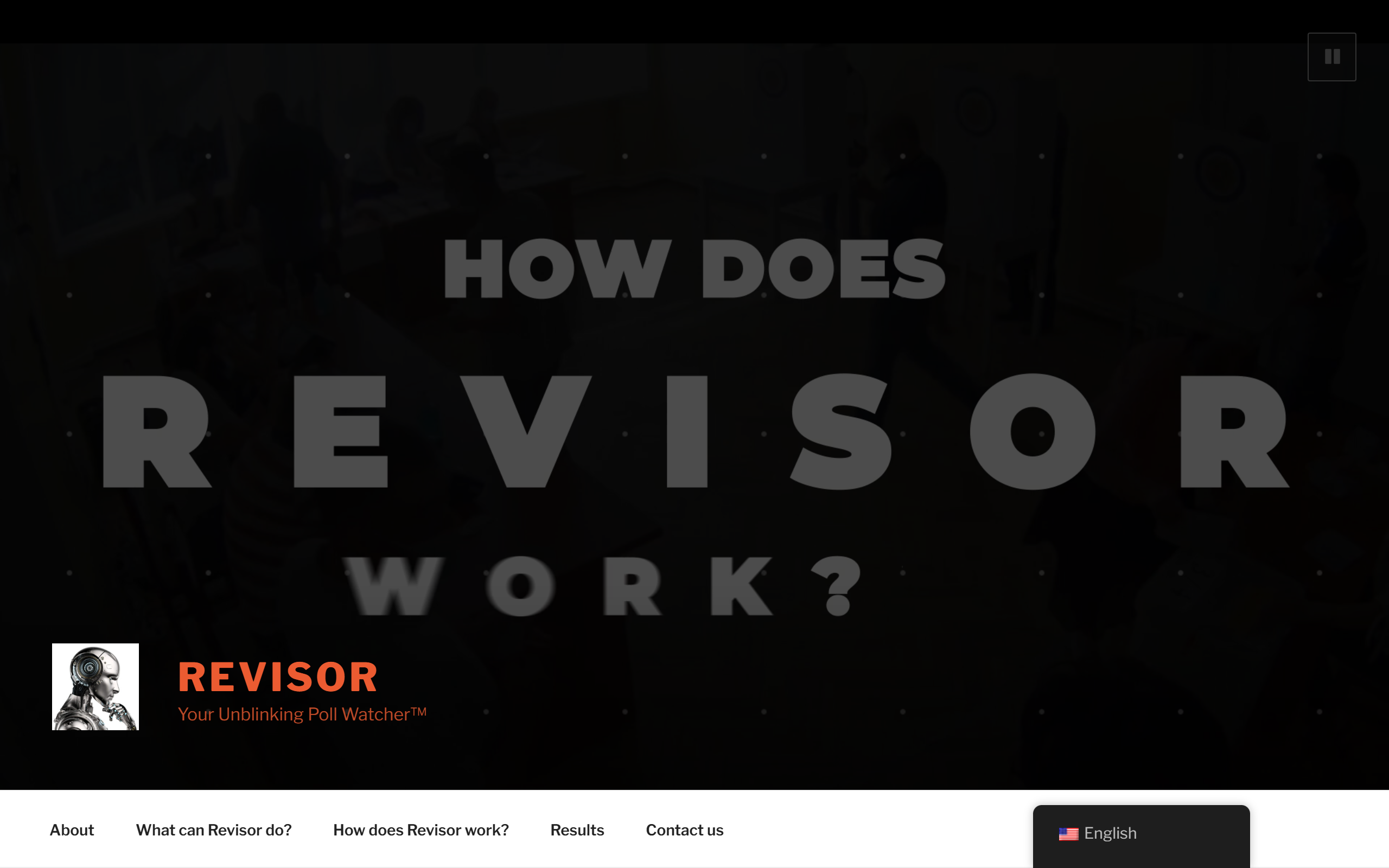 Revisor screenshot