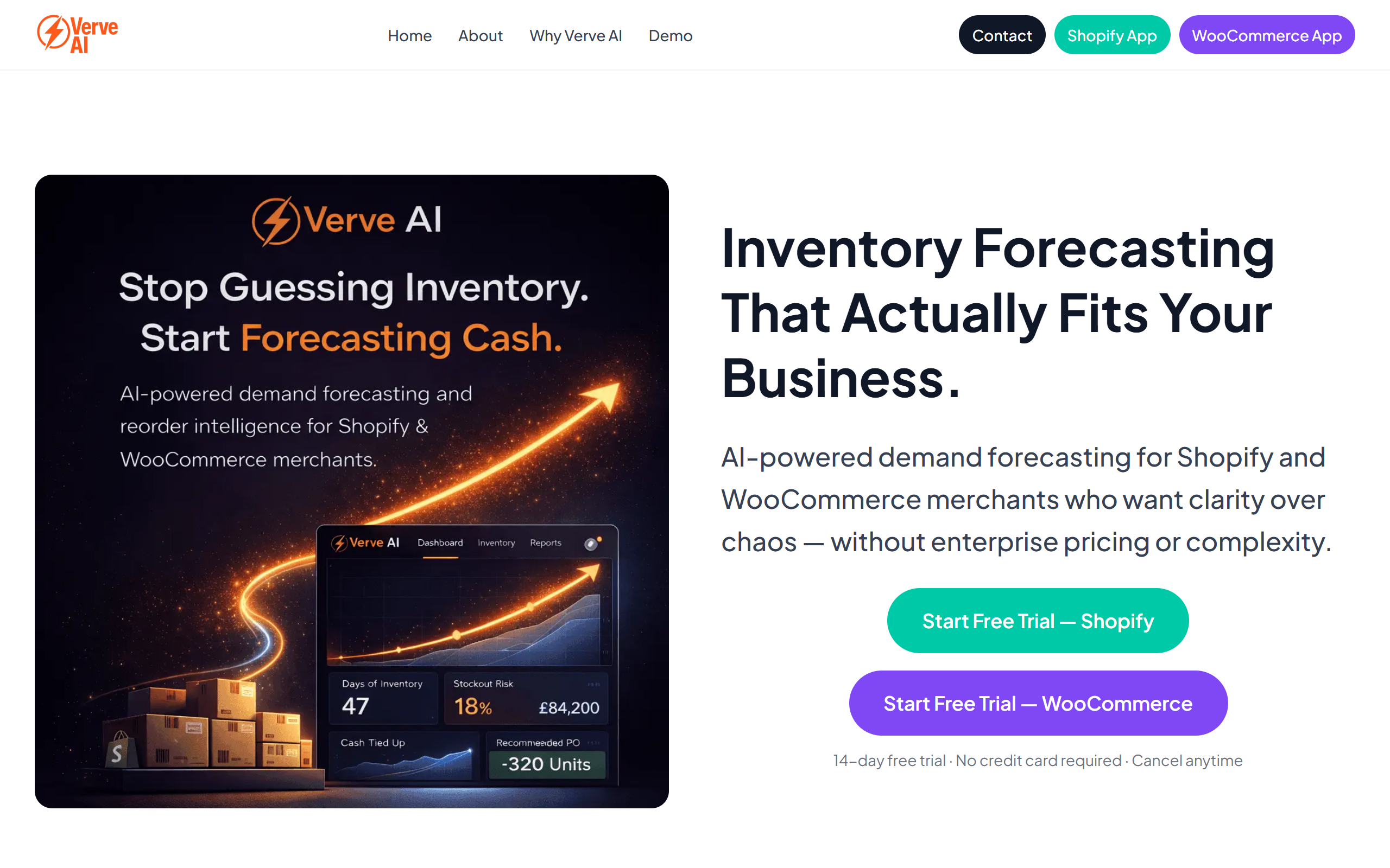 Verve AI - AI Forecasting Software screenshot