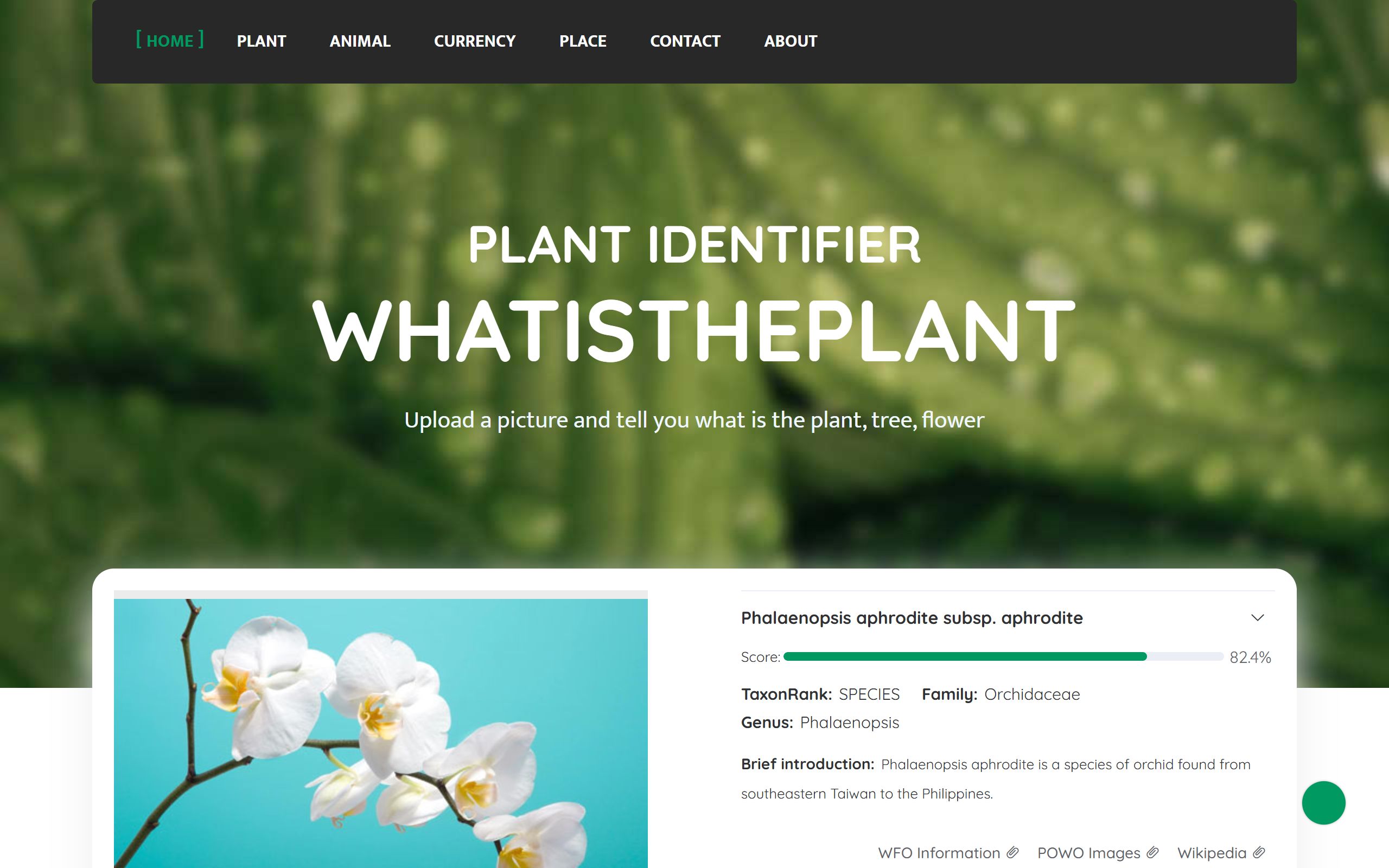 What is the Plant? screenshot